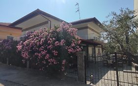 Nafsika